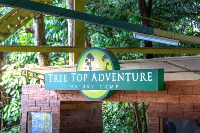 Tree Top Adventure Freeport Nature Camp Bahamas